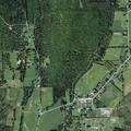 Elderly woman falls and reports back pain in Beaver Dams
