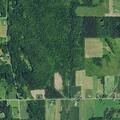 82-year-old woman found very weak at home