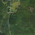Road closed for downed wires on Bean Road