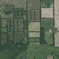 Domestic dispute reported on Hicks Road