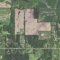 Person having allergic reaction near Marengo