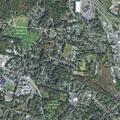 Man reports lower back pain near Taylor Street