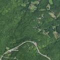 Car hits deer on Route 23 near Point Lookout