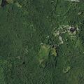 Elderly female falls near Fog Hill Road in Austerlitz