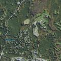 83-year-old female falls but has no injuries