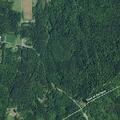 Tree blocking roadway near Route 380 in Brocton