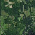 59-year-old man falls from tree with possible ankle injury