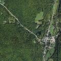 71-year-old male treated for leg infection