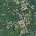 77-year-old woman found not fully alert at Woodard Rd