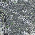 Man about 30 years old reported sick near Mass Ave in Central Square