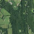 Tree on wires burning near Kinderhook home