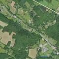 Car hits deer on Jump Brook Road