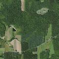 Female patient with chest pain near Shapley Road in Guilford