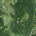 Car hits deer near Roberts Road in Bloomville