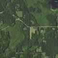 Person needs mental health evaluation near 49th Street