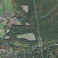 Report of domestic assault near Pelham Road