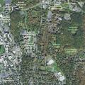 Welfare check requested for male on Chestnut Street