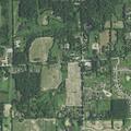 Loose pit bull reported on Quigley Road