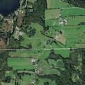 Cow blocking road on State Route 226
