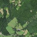 Tree partially blocking road on State Highway 28