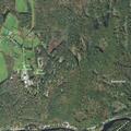 Dog bite incident near Old Worcester Road and Cold Spring Road