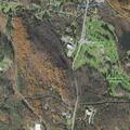 Runaway juvenile near bird sanctuary in Pittsfield