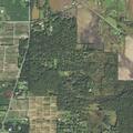79-year-old woman unconscious at Giant Oak Road