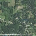 Daughter assaults caller at Hadley Road home