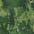 Elderly man conscious after fall near Otego