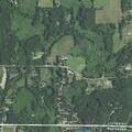 Dog repeatedly reported wandering on San Luray Drive