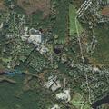 Female having a seizure at Apple Country Animal Hospital