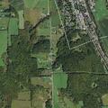 92-year-old man with left arm pain at Tim Hill Rd