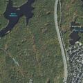 Small fire in wooded area near Bellevue Pond