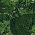 SUV hits deer on Route 240 in Ashford