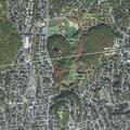 Man reported unwell in basement near Forest Street