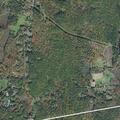 Elderly man missing after walk with dog in Leverett