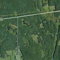 Loose cows blocking roadway on County Route 111