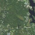 Person with blood pressure issues at Pine Cone Lane