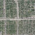 Man requesting shelter near 8 Mile Road in Hazel Park