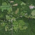 Woman has allergic reaction near Blower Road in Guilford