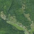 Car and deer collision on State Route 145
