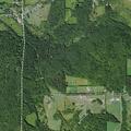 Caller reports animal attack noises near state forest