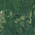 Tree blocking road with low wires on Thorn Road