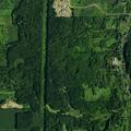 Car and deer crash on Route 16 near campground