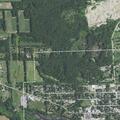 Loose dogs reported near Pond Street home