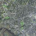 Woman suspected stroke near Woodman Street