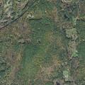 Report of smoke possibly from prescribed burn