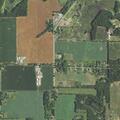 Driver flees on foot after traffic stop in Delton