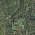 63-year-old man with abdominal pain at Roaring Brook Rd