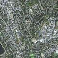 Person experiencing a mental health crisis near Loring Ave